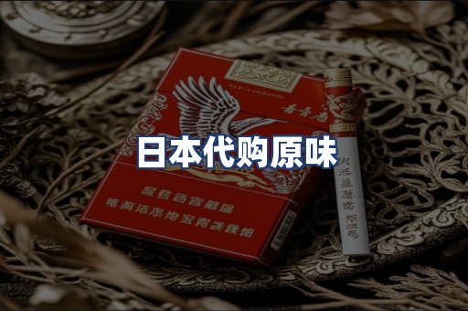 日本代购原味
